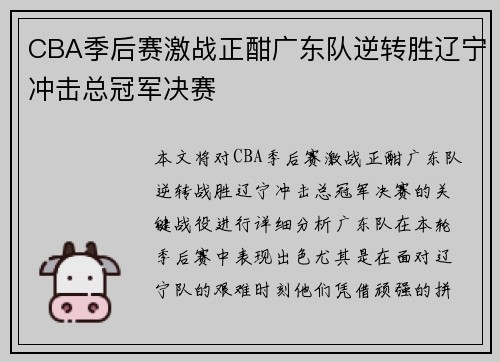 CBA季后赛激战正酣广东队逆转胜辽宁冲击总冠军决赛